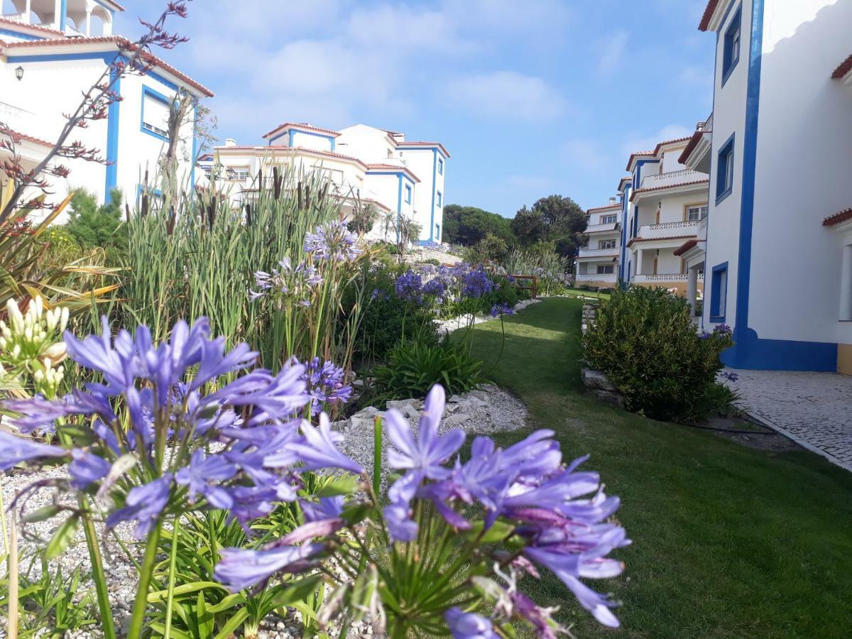 Apartment Em D'el Rey-obidos & Surf Amoreira (Leiria)