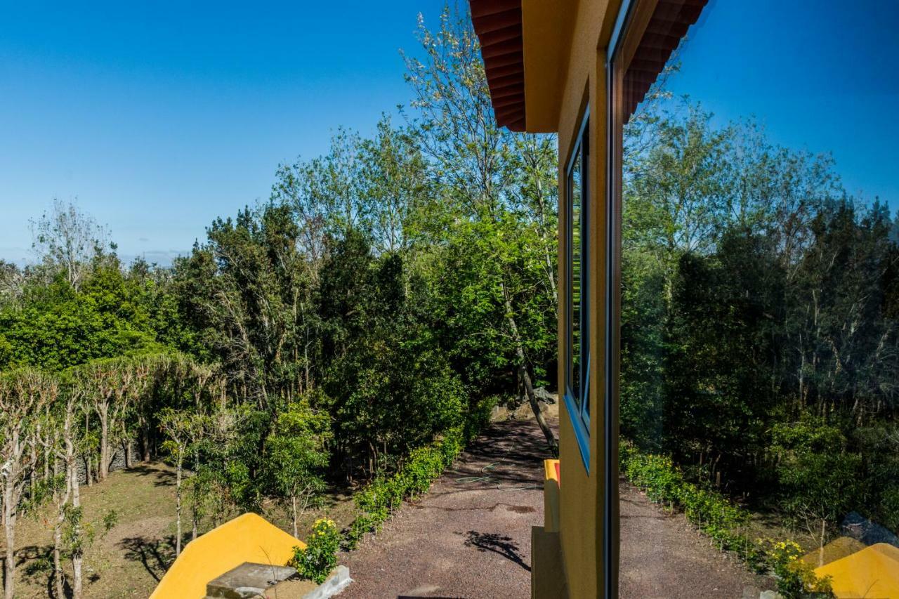 Vakantiehuis A Casa Amarela Capelas