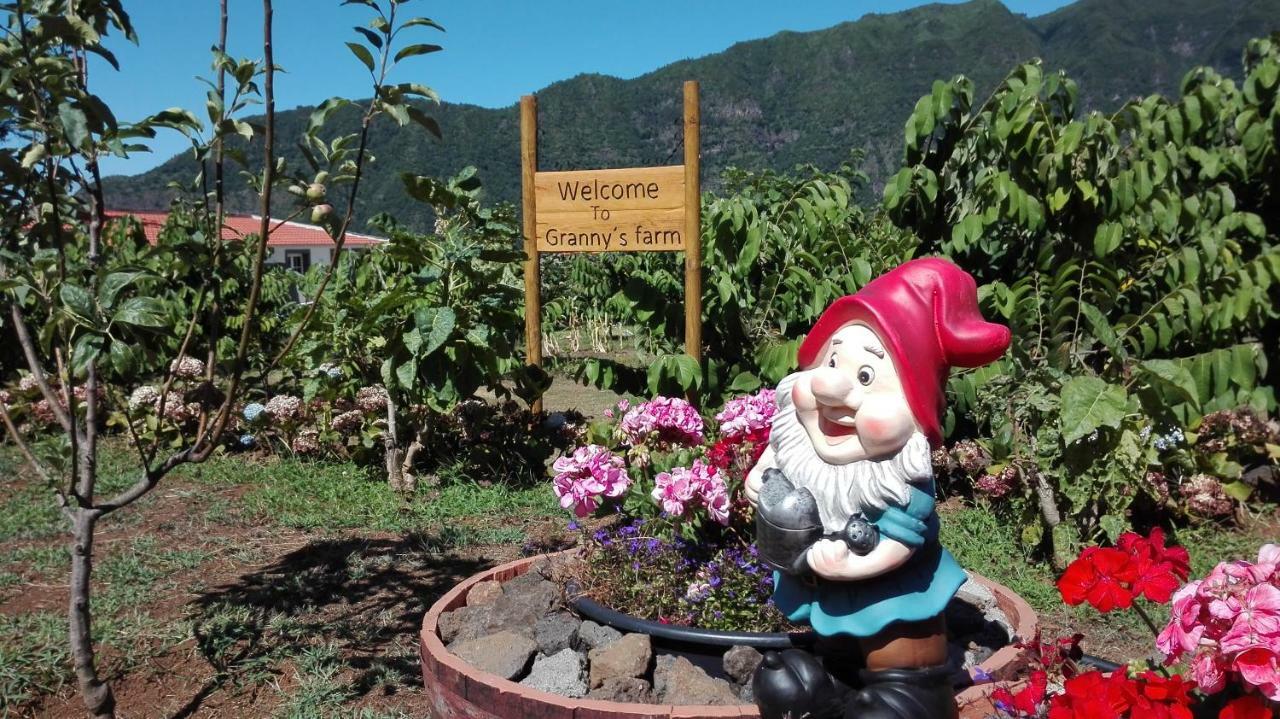 Granny's Farm Country house Sao Vicente (Madeira)