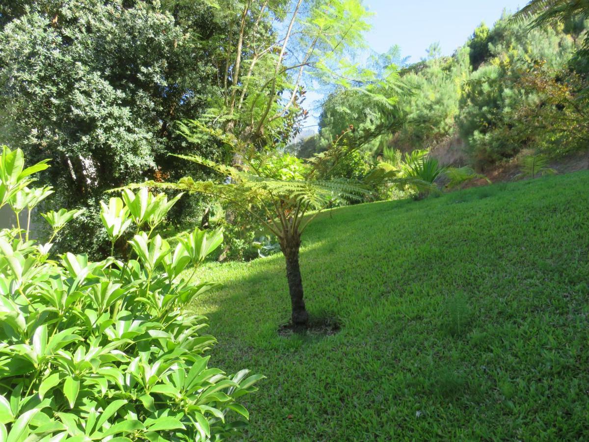 Guest house Solar Do Carvalho