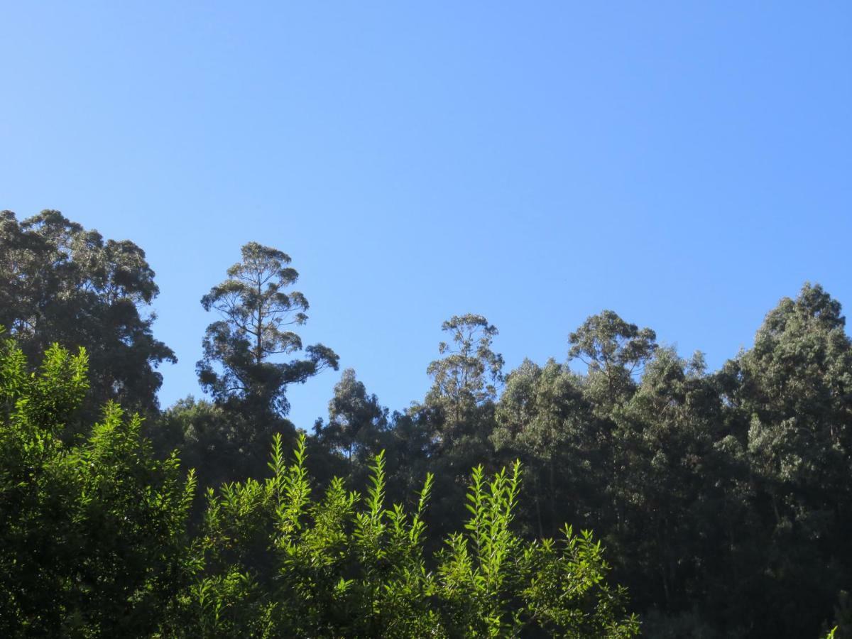 Solar Do Carvalho Guest house *