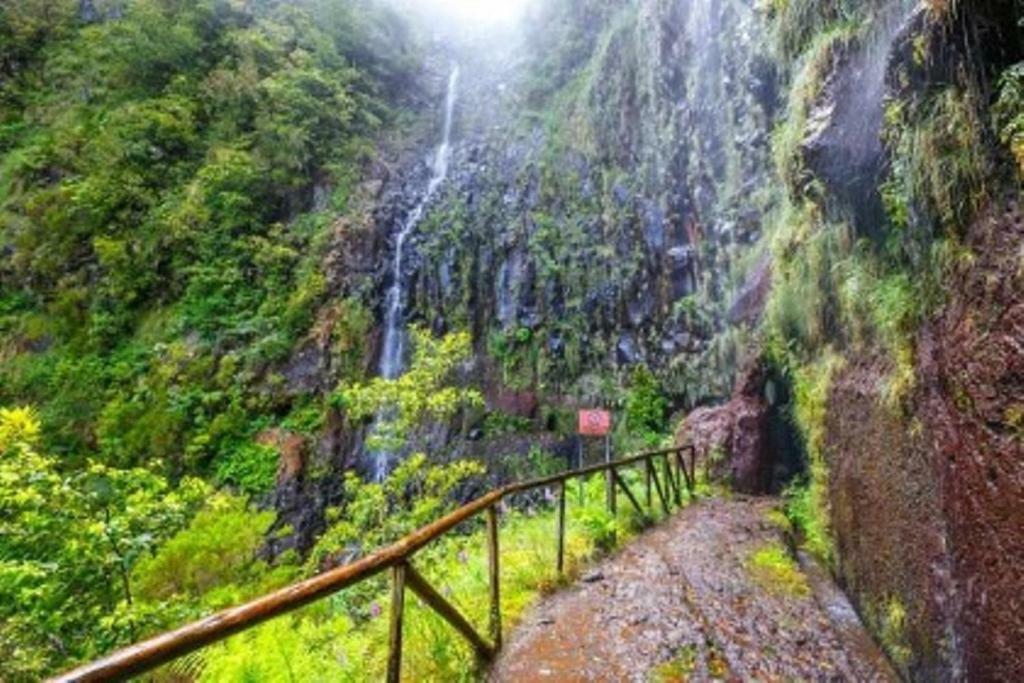 Scirocco Madeira - Ocean View * Machico (Madeira)