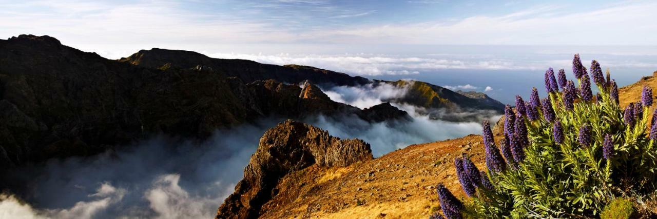 Scirocco Madeira - Ocean View