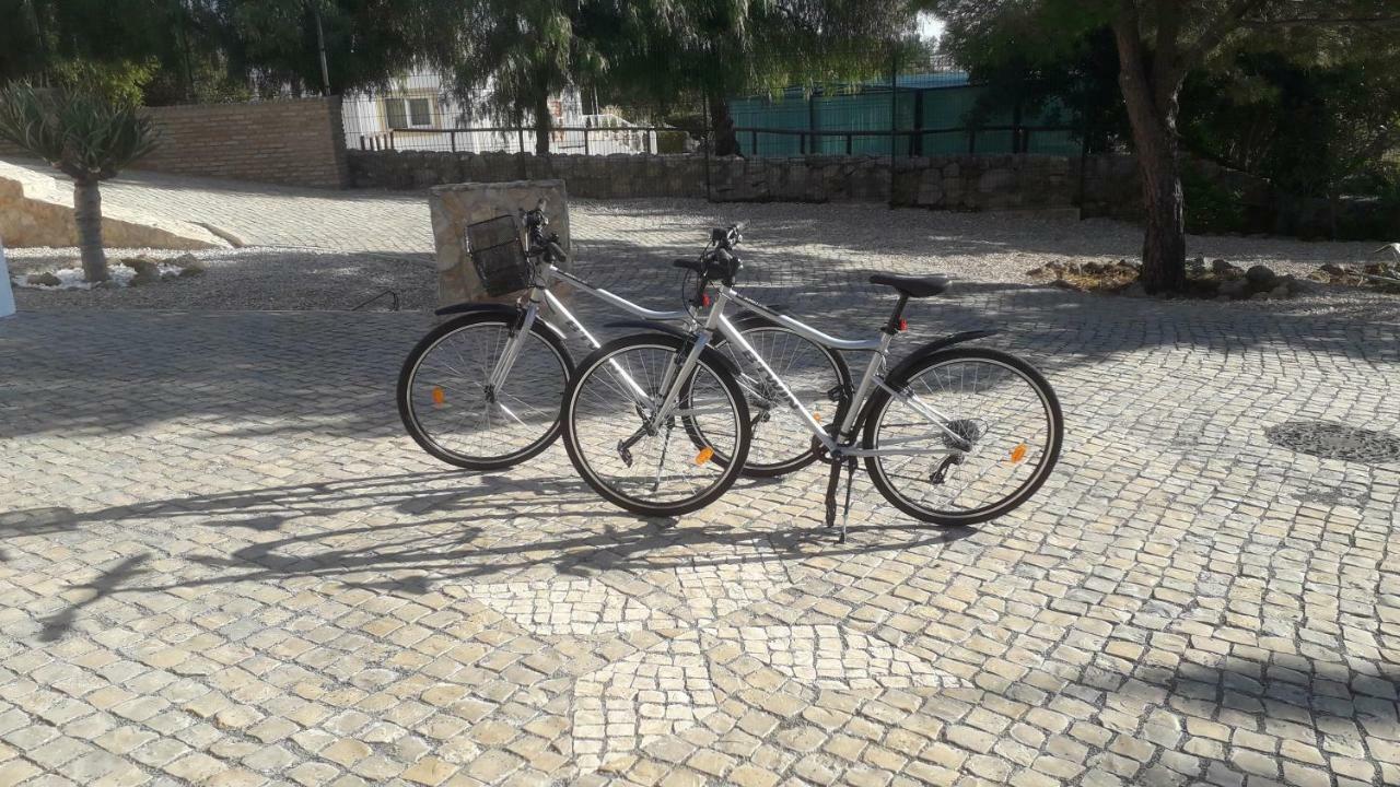 Local Patudos, Com Terraco Privado Gasthuis *