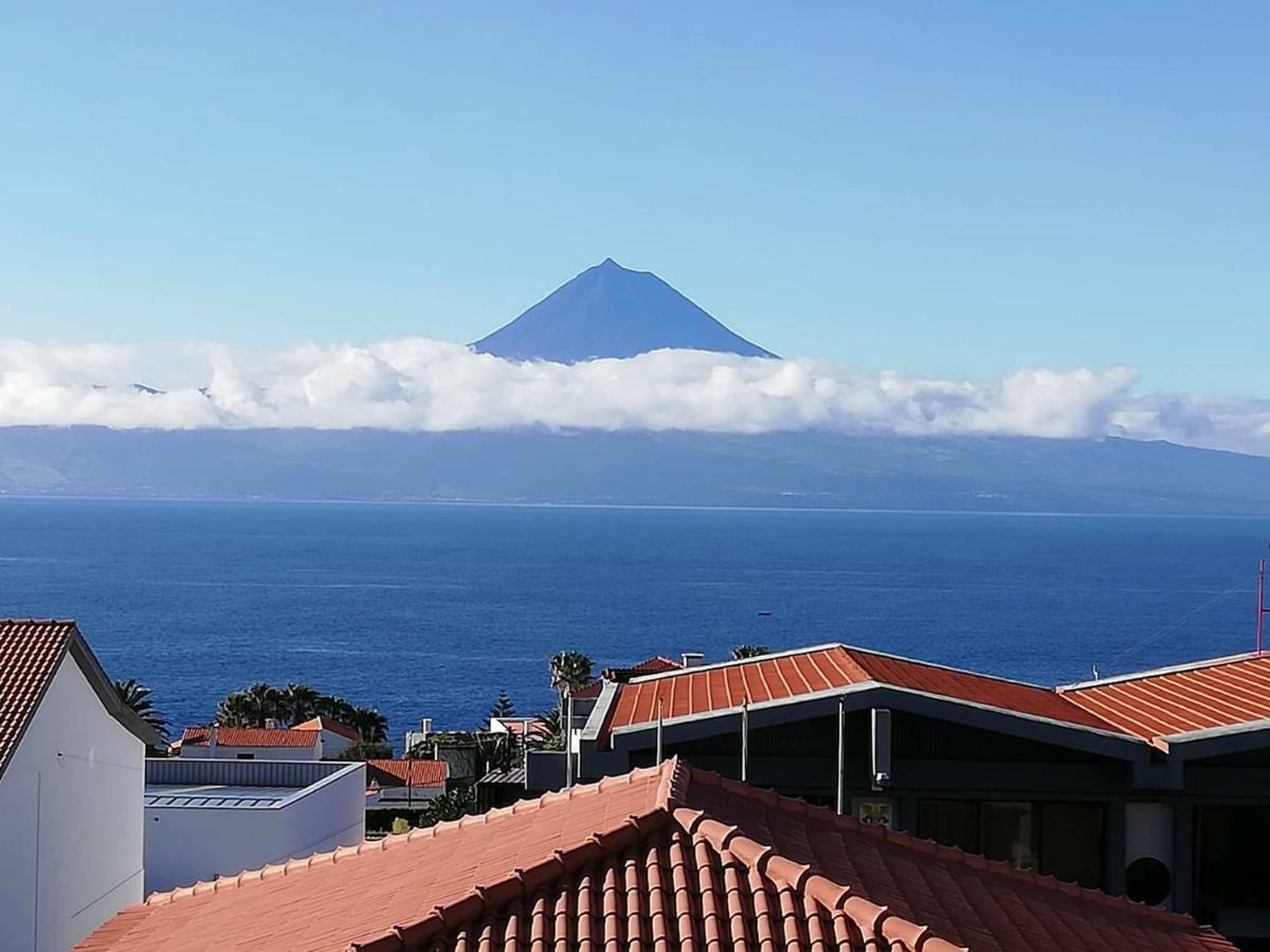 Guest house Residencia Livramento *