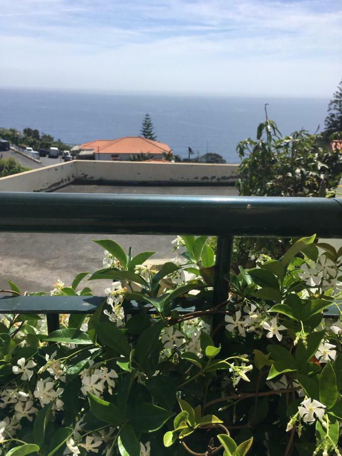 Sunshine * Gaula
