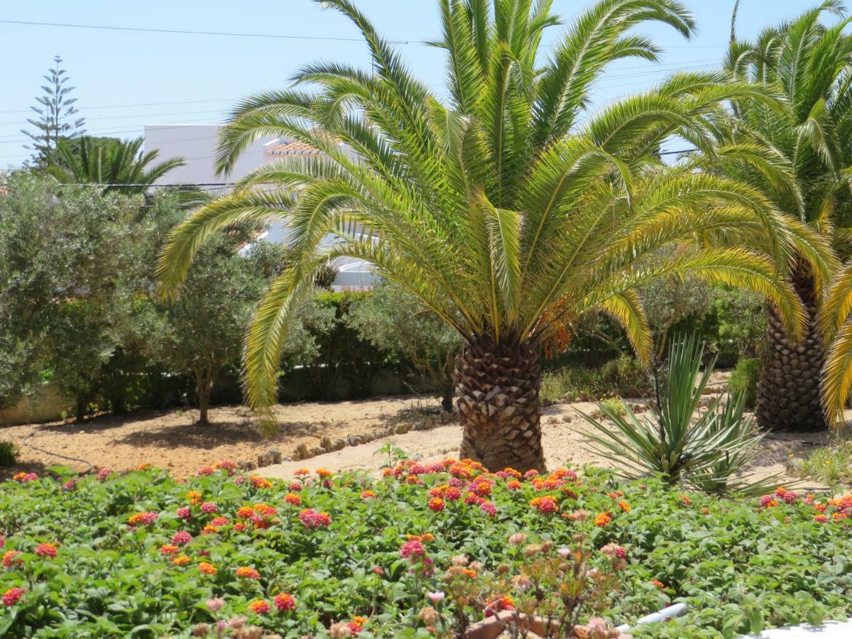 Holiday home El Alcazar
