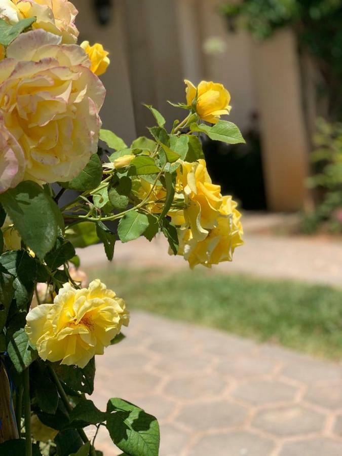 Casa Roseiras Сasa de vacaciones *
