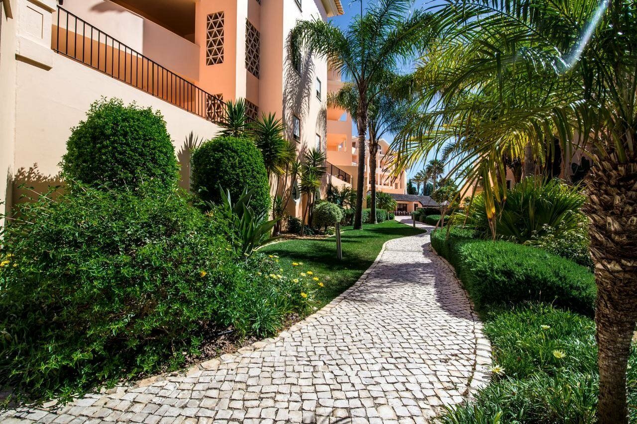 Estrela Da Praia Da Luz