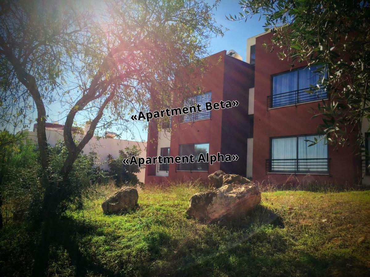 Apartment Alpha - 2 Bedrooms, Private Rooftop Patio With Hot Tub, Bbq And View *