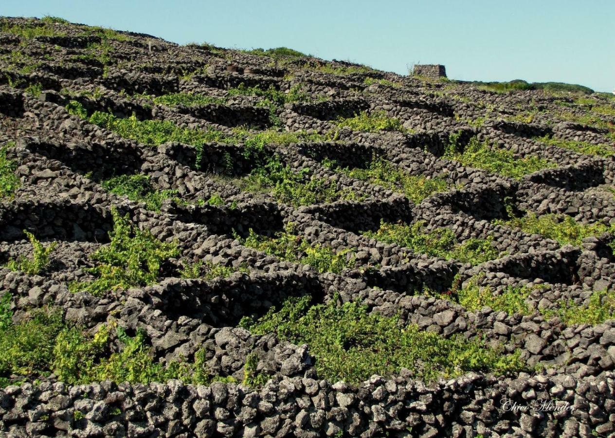 Quinta Do Norte - Biscoitos
