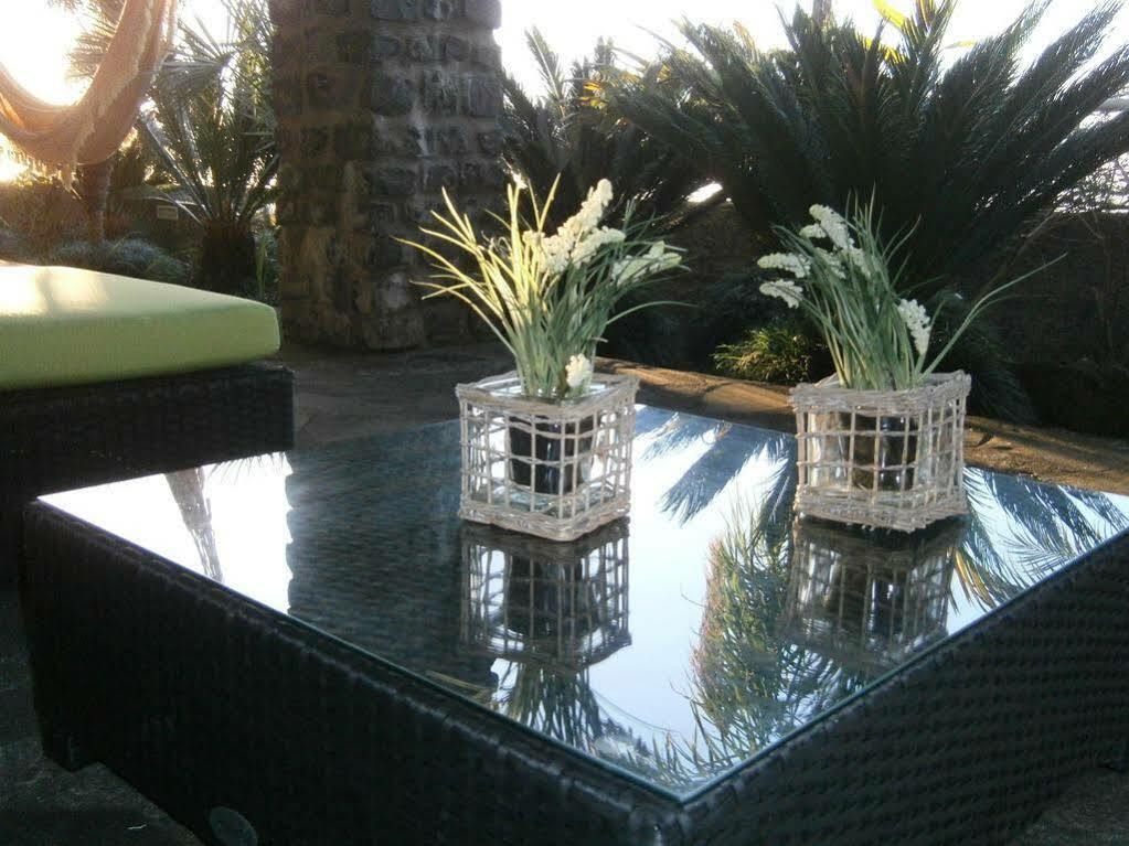 Bed and breakfast Casa Proteas São Jorge