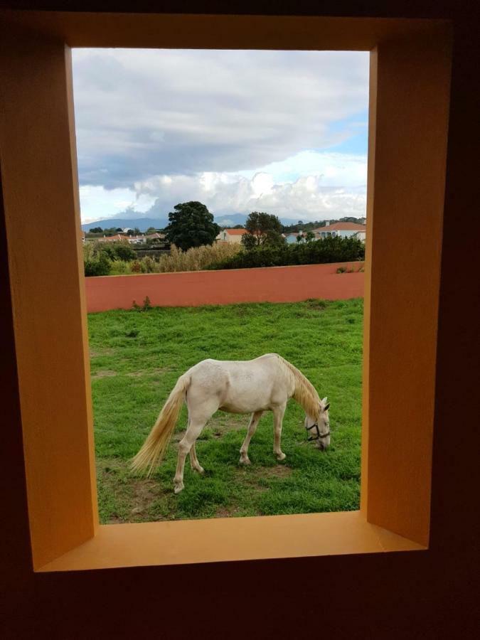 Quinta Da Falesia - Casa Amarela Holiday home