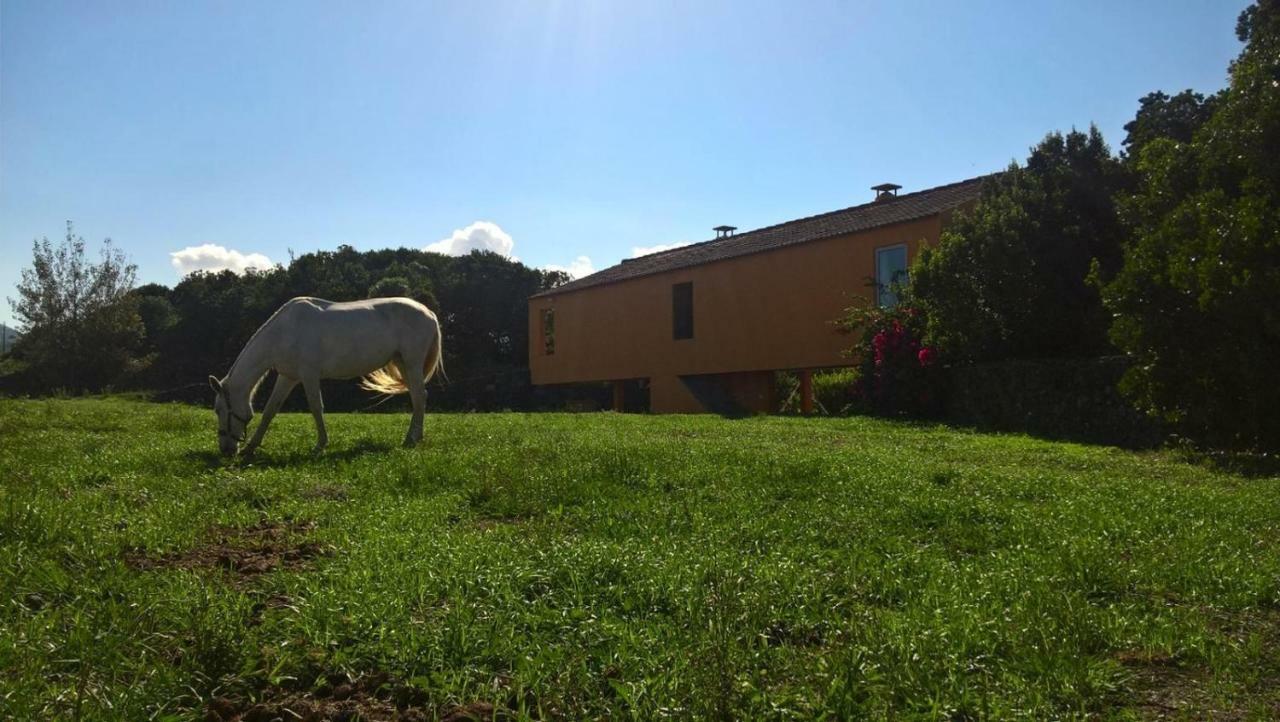 Quinta Da Falesia - Casa Amarela Holiday home Ponta Delgada (Sao Miguel)