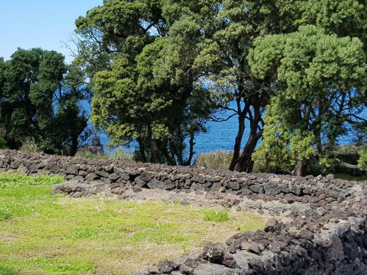 Quinta Da Falesia - Casa Amarela Holiday home *