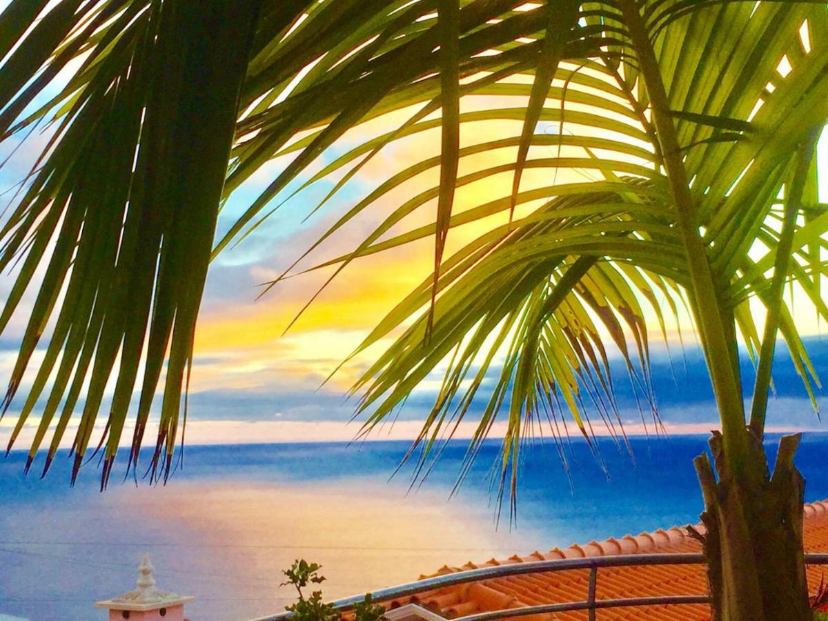 Casa Lira Holiday home Arco da Calheta (Madeira)
