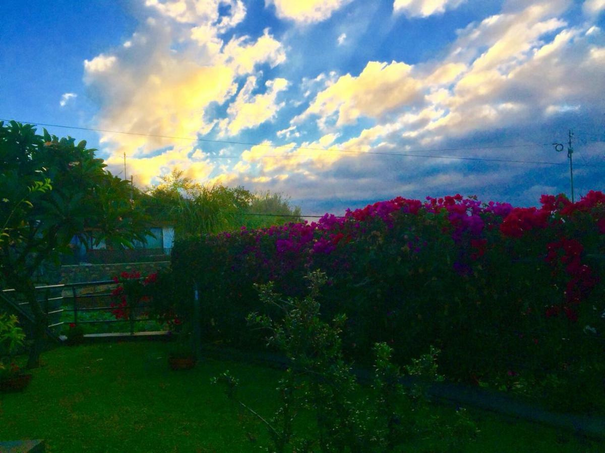 Holiday home Casa Lira Arco da Calheta (Madeira)