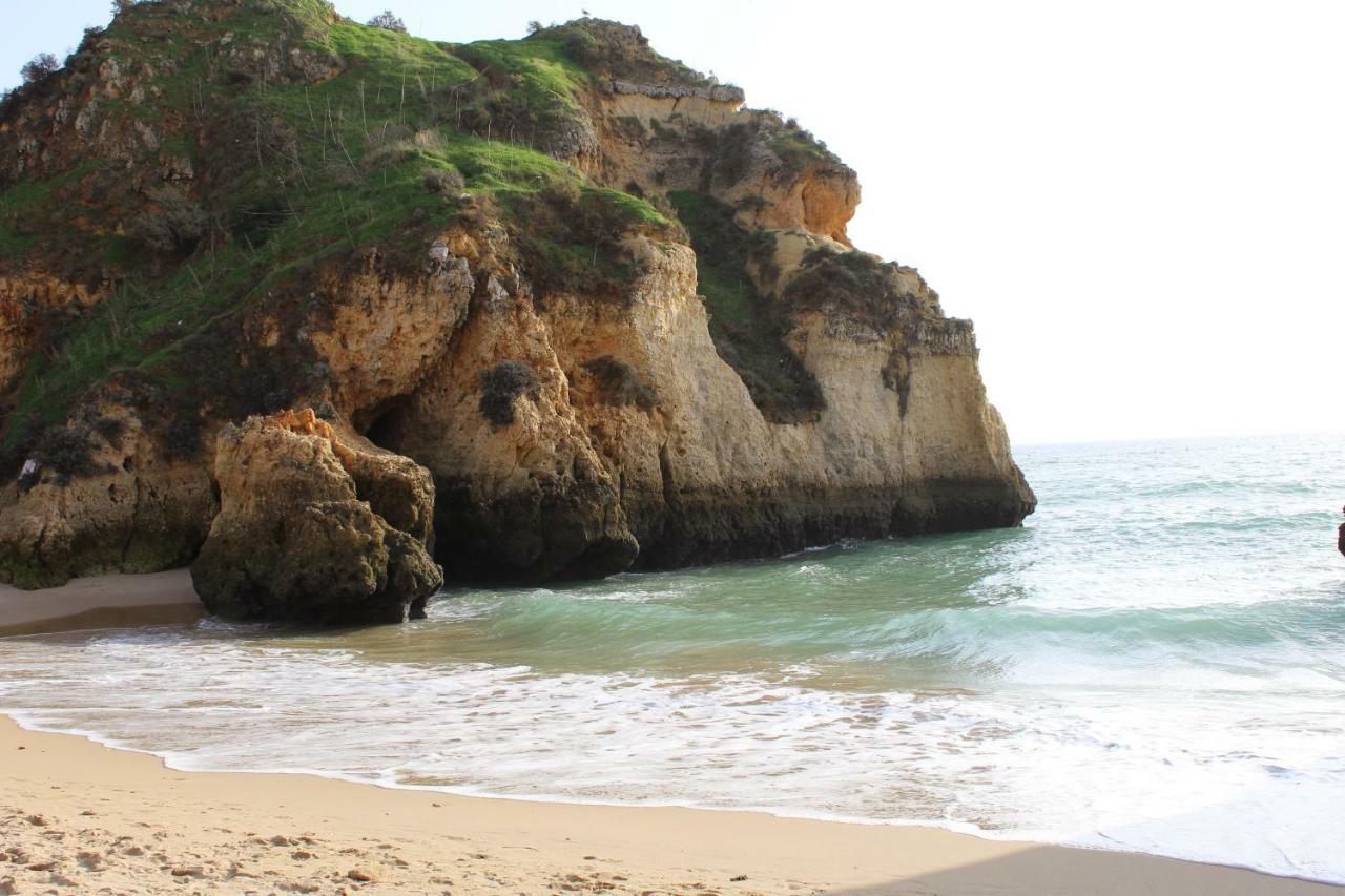 Amoreira Mar Iv *