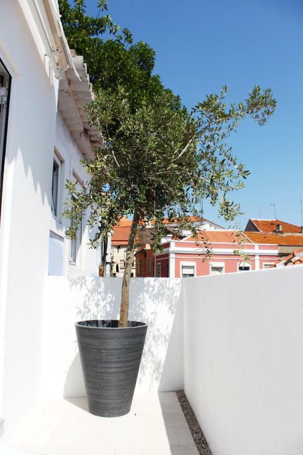Apartment Miradouro's Loft *