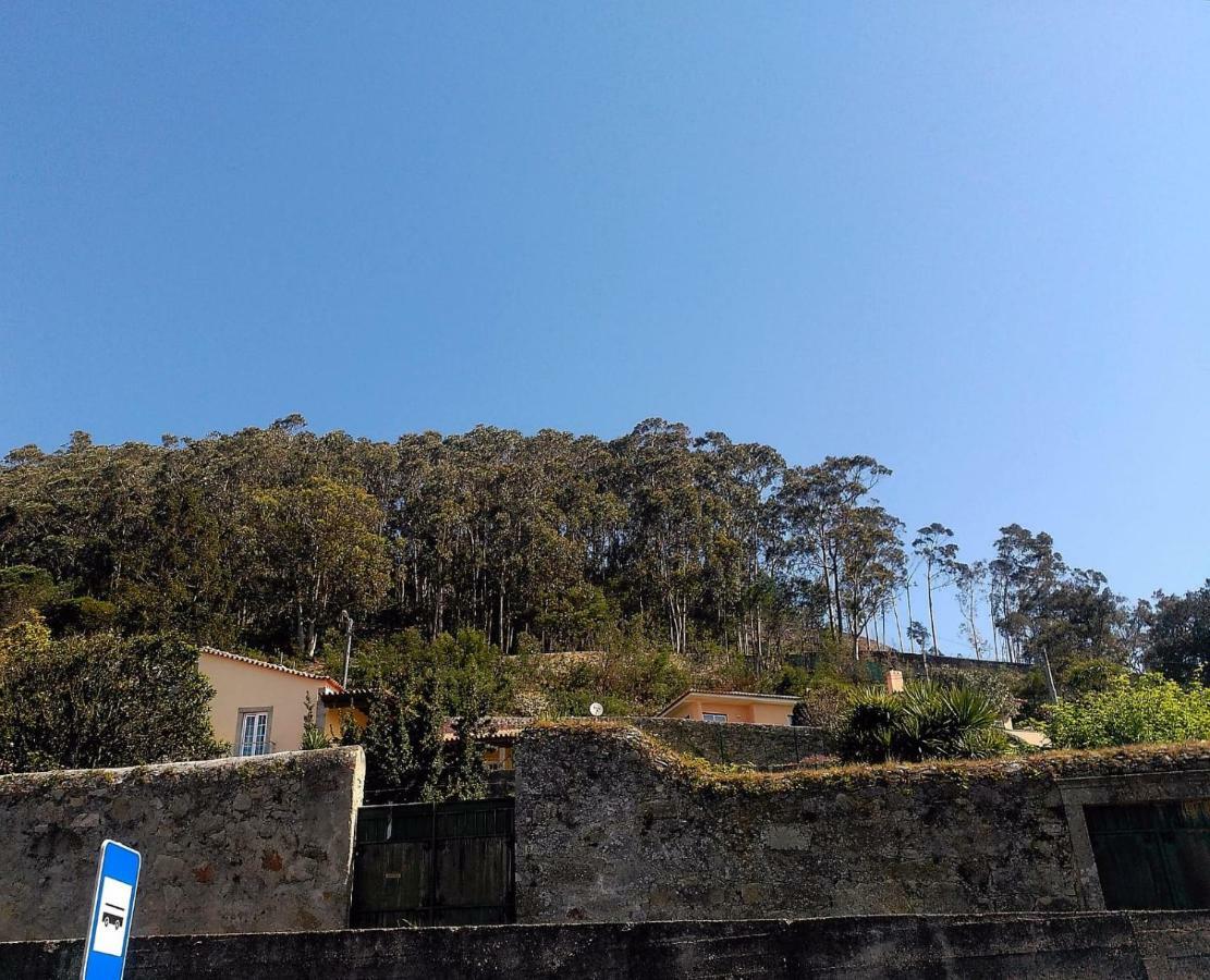 Holiday home Lovely Sunny-house Viana do Castelo