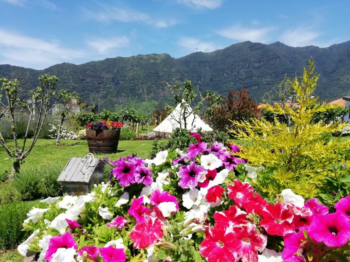 Casa rural Granny's Farm