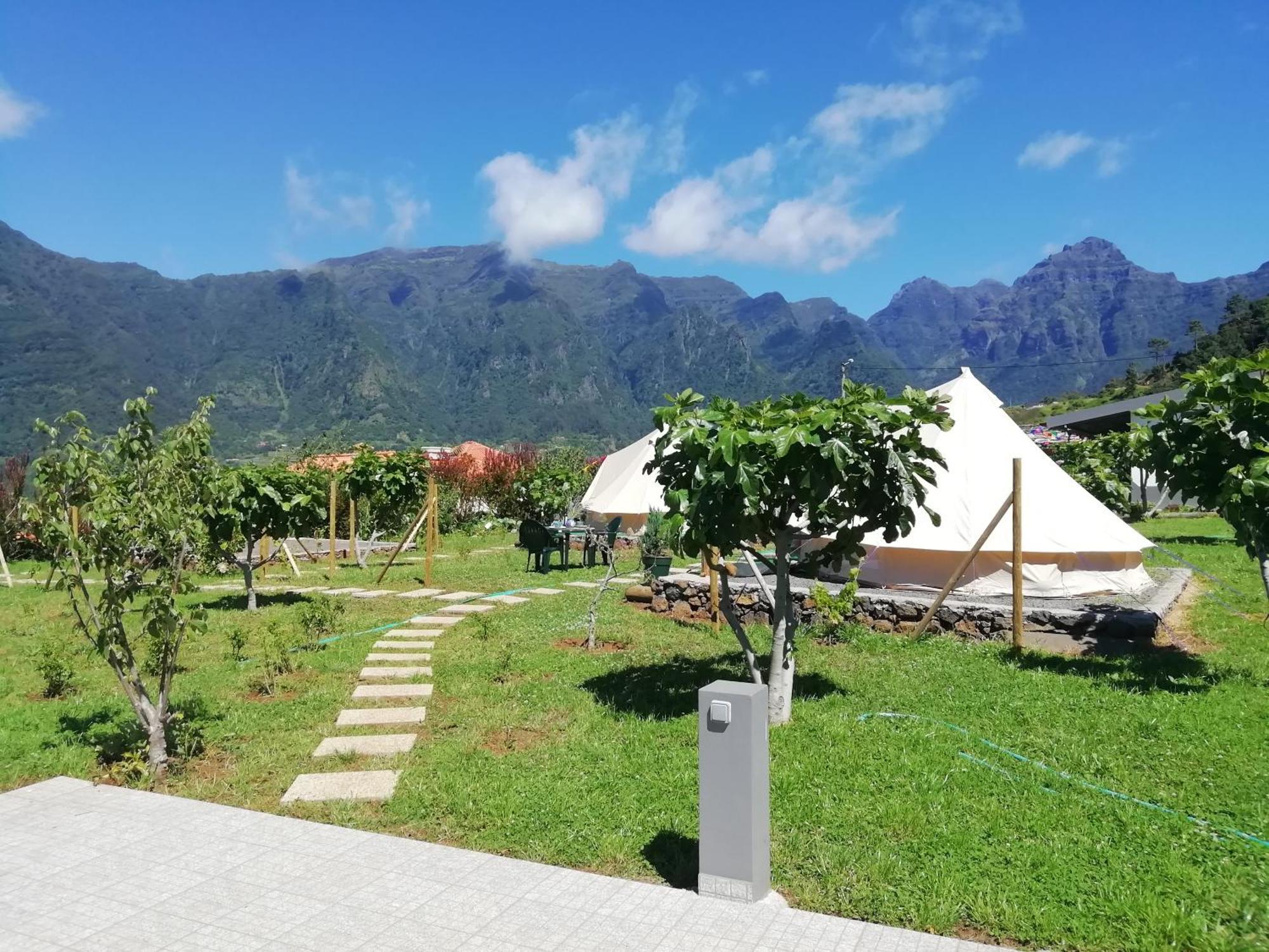 Granny's Farm