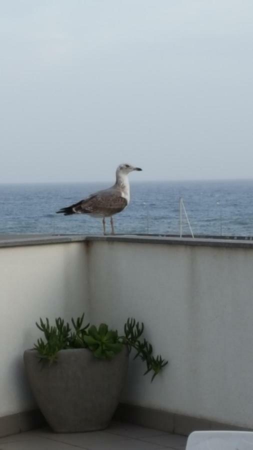 V.i.p. Baia Apartment Machico (Madeira)