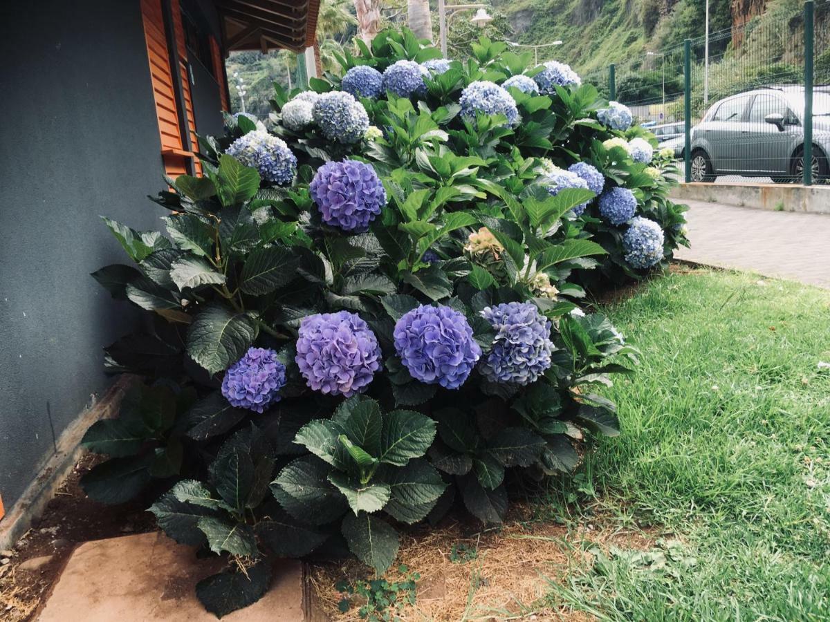 Bed & Breakfast Sao Jorge Village