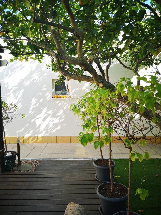 Casa de hóspedes Nature *