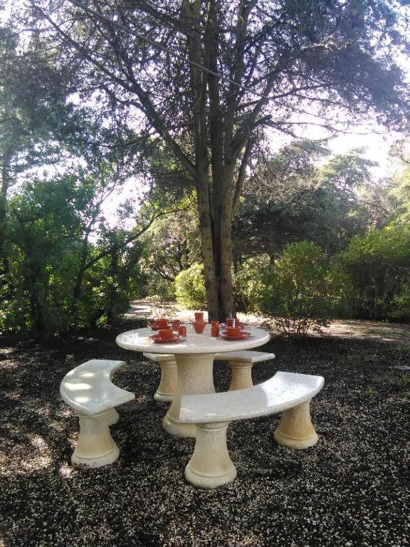 Nature *