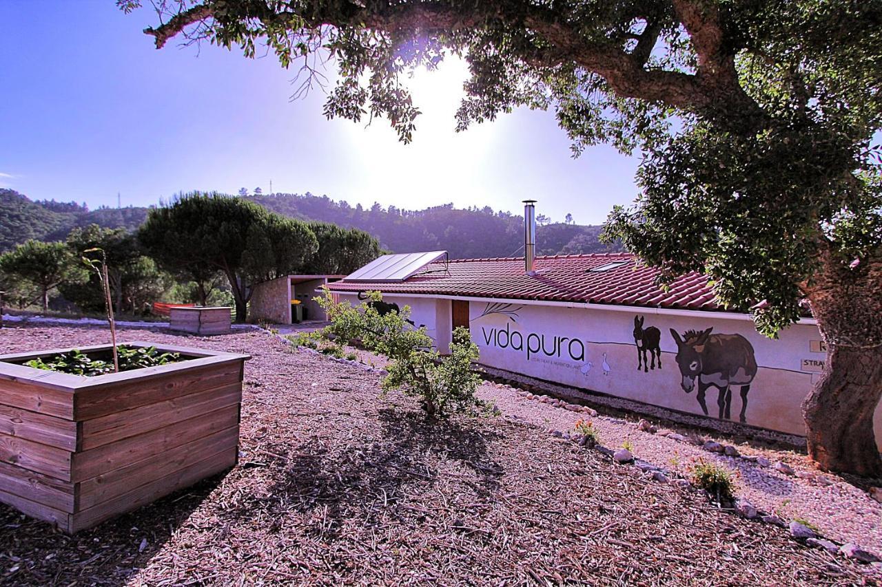 Guest house Vida Pura