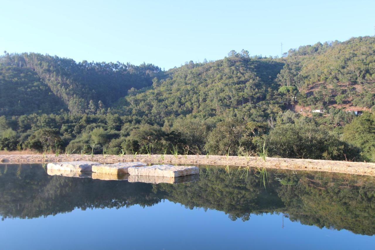 Vida Pura Guest house