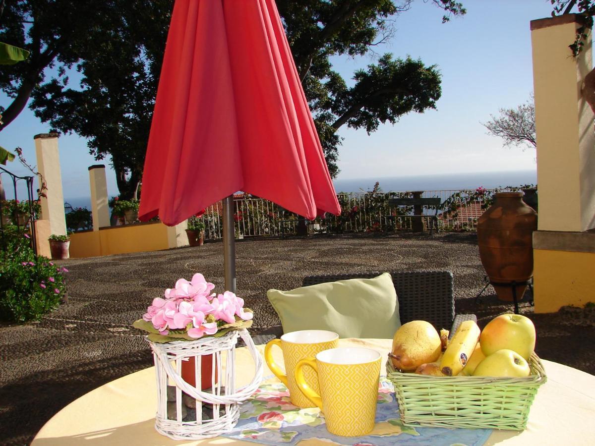 Purple Appartement Funchal (Madeira)