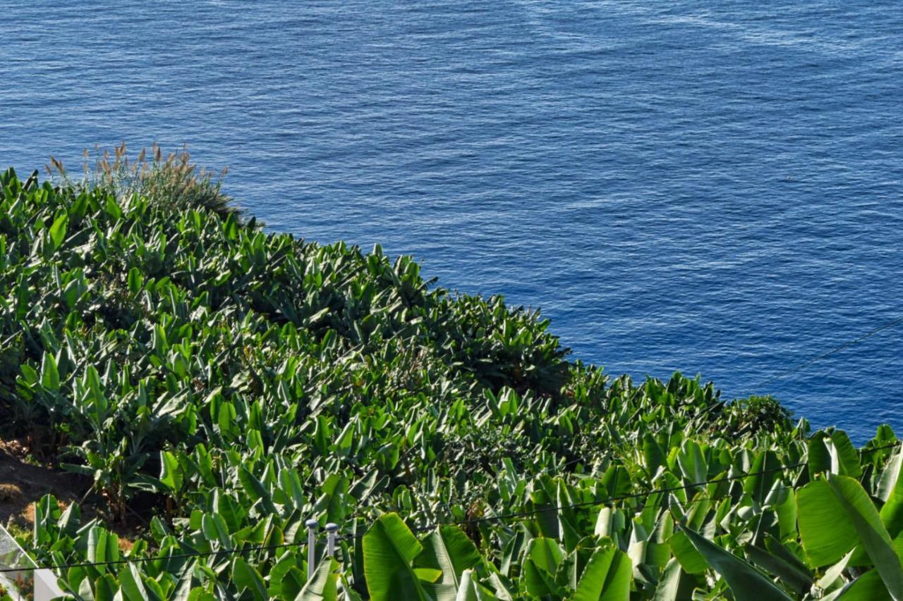 Vista Mar, A In Madeira Apartamento Ponta do Sol (Madeira)