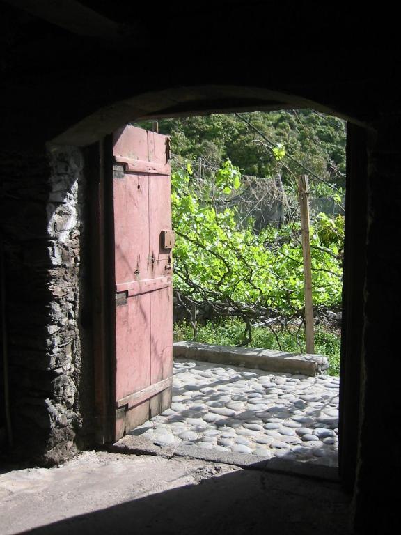 Holiday home Faja Dos Padres Ribeira Brava