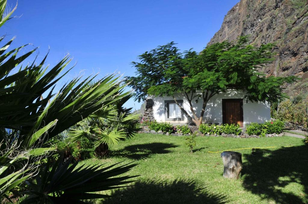 Faja Dos Padres Ribeira Brava