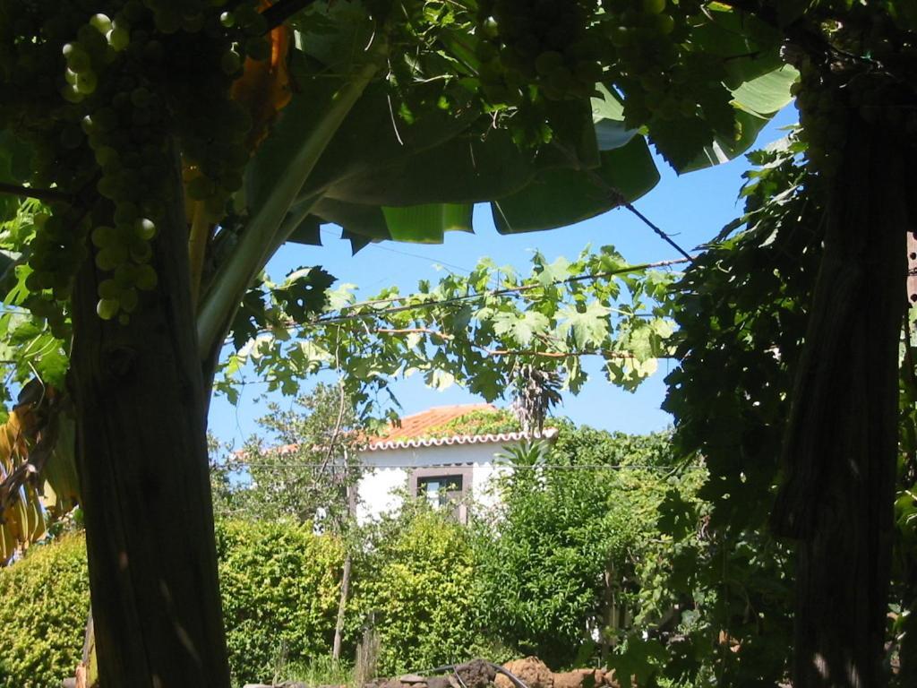 Faja Dos Padres Holiday home Ribeira Brava