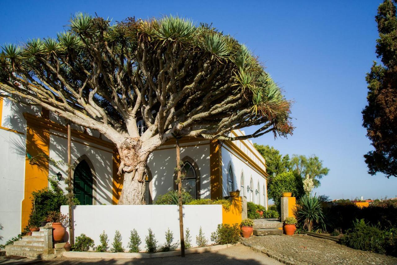 Casa Do Castelo - Turismo De Habitacao