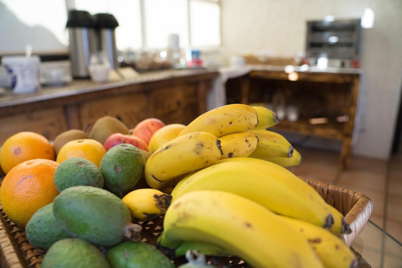 Acomodação com café da manhã  Casa Proteas 3*