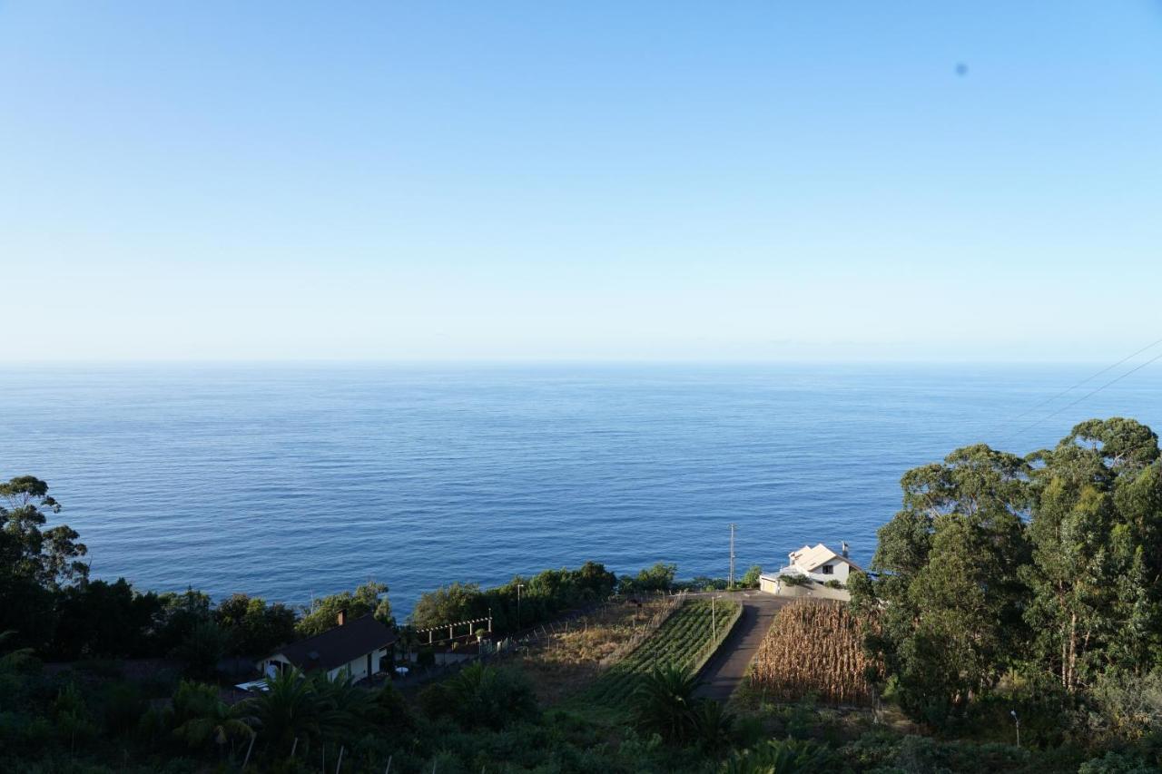 Casa Proteas Bed & Breakfast São Jorge