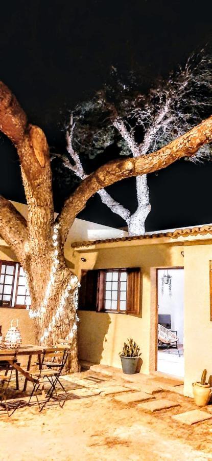 Casa de férias Tree House *