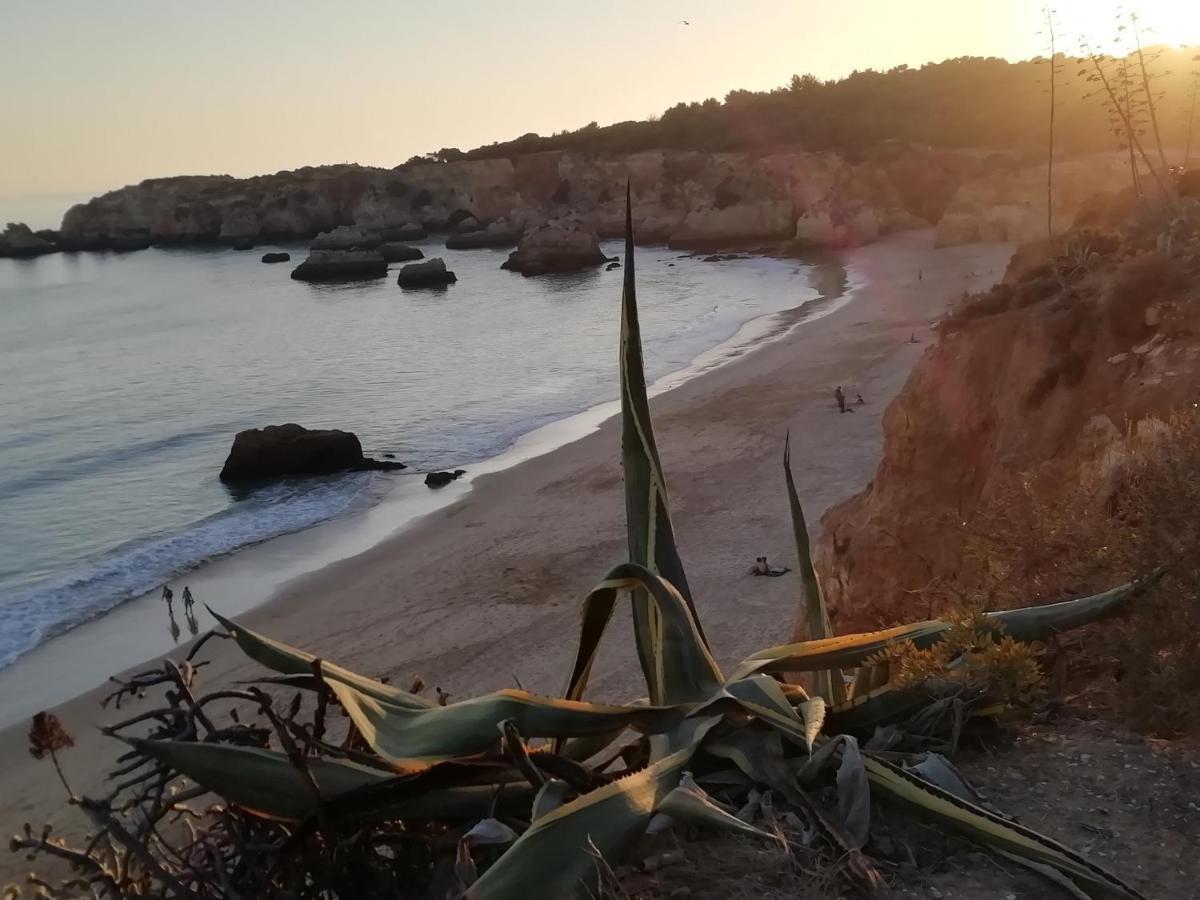 Appartement Vau Sea View, T2 Apartment, Close To Beach,ideal For Families *