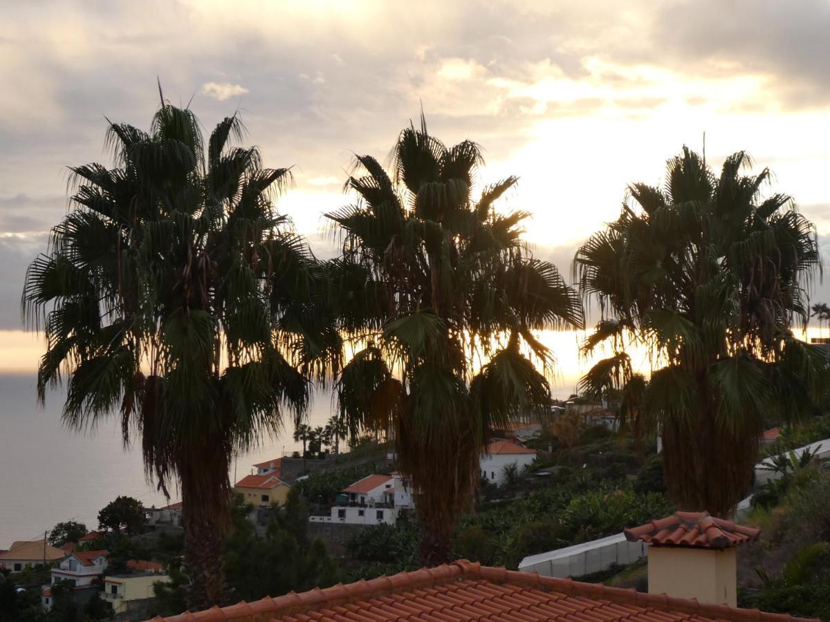 Guest house Casa Do Papagaio Funchal (Madeira)