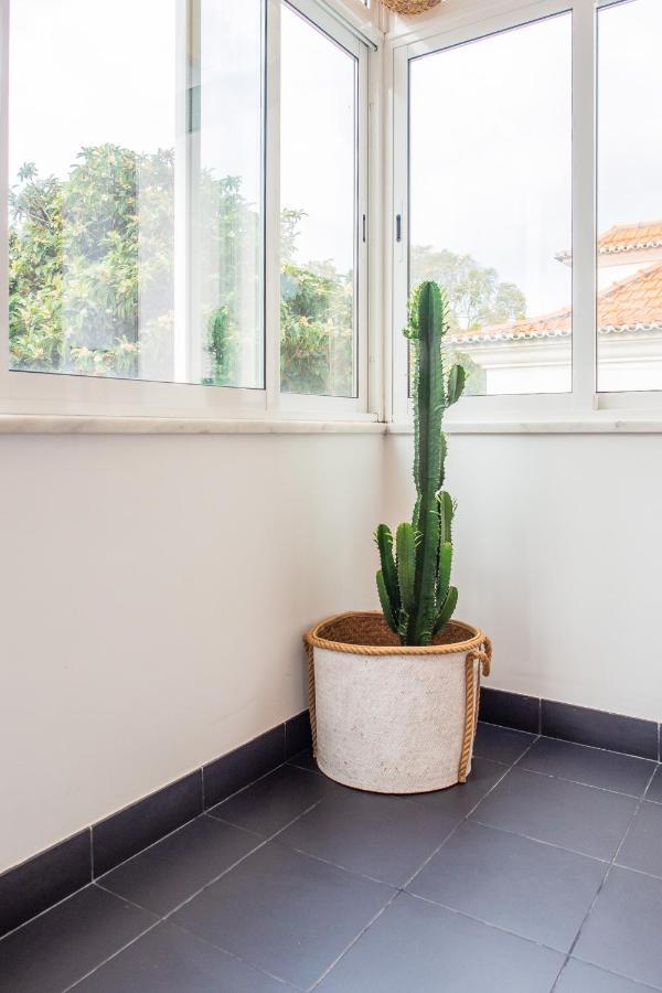 Casa De Do Pipas