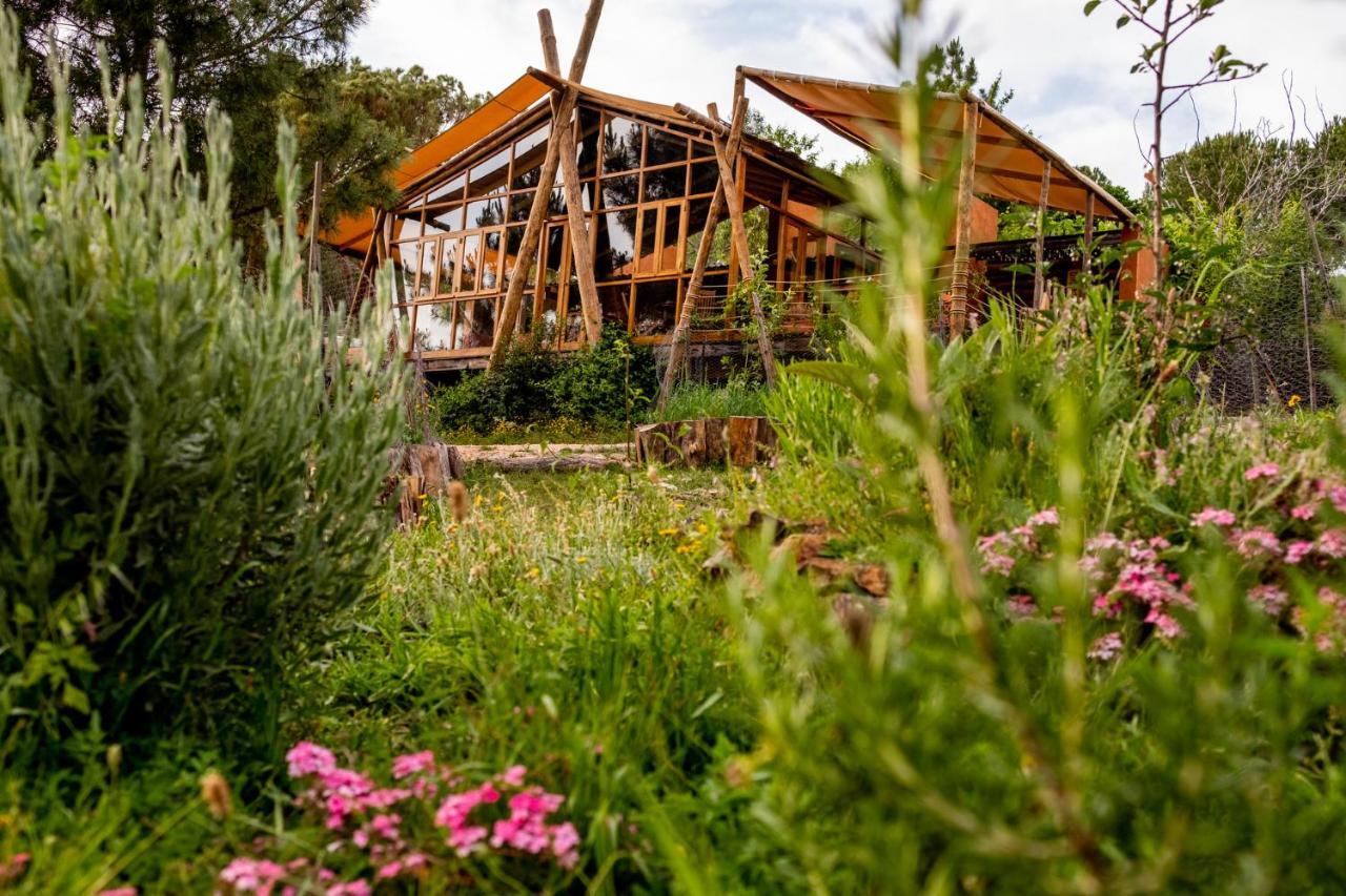 Quinta Alma - Ecological Retreat Farm