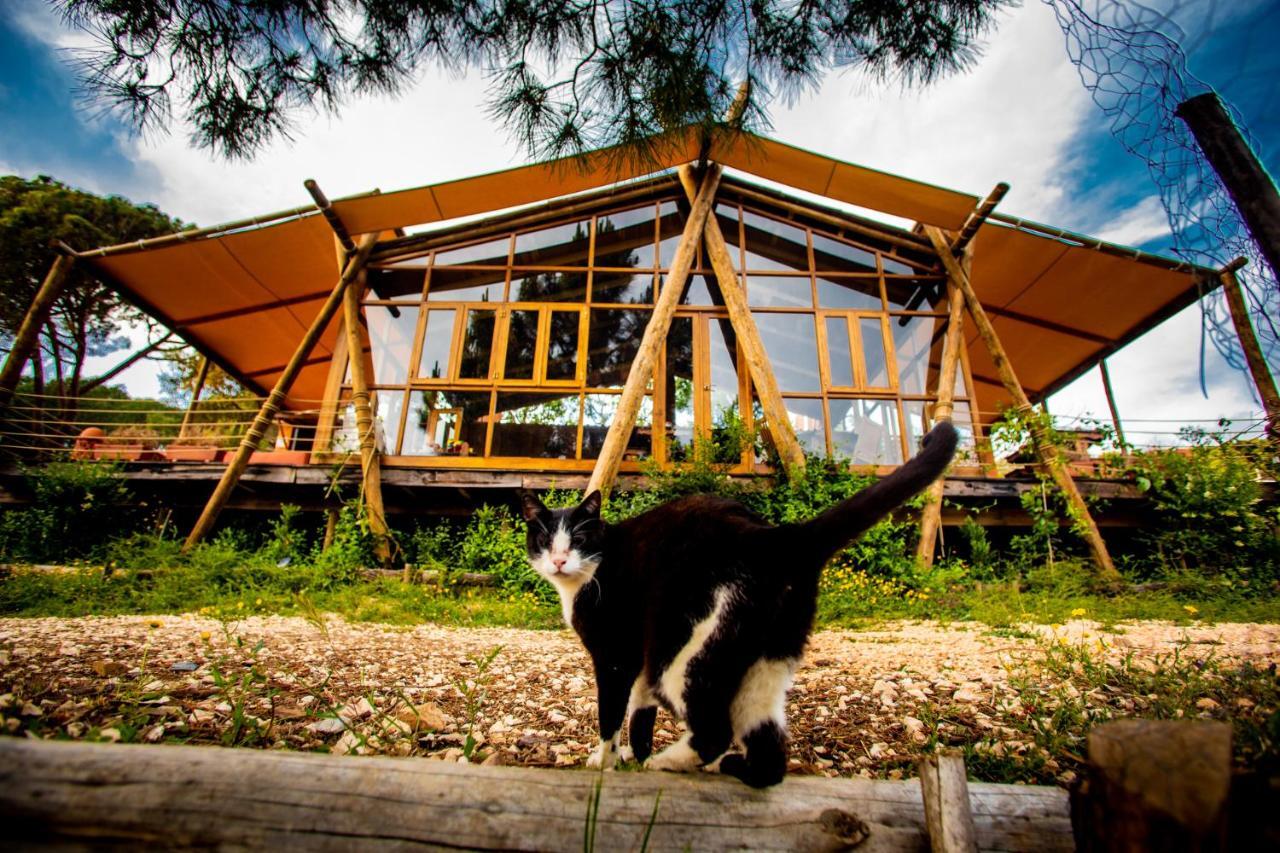 Quinta Alma - Ecological Retreat Farm * Aljezur