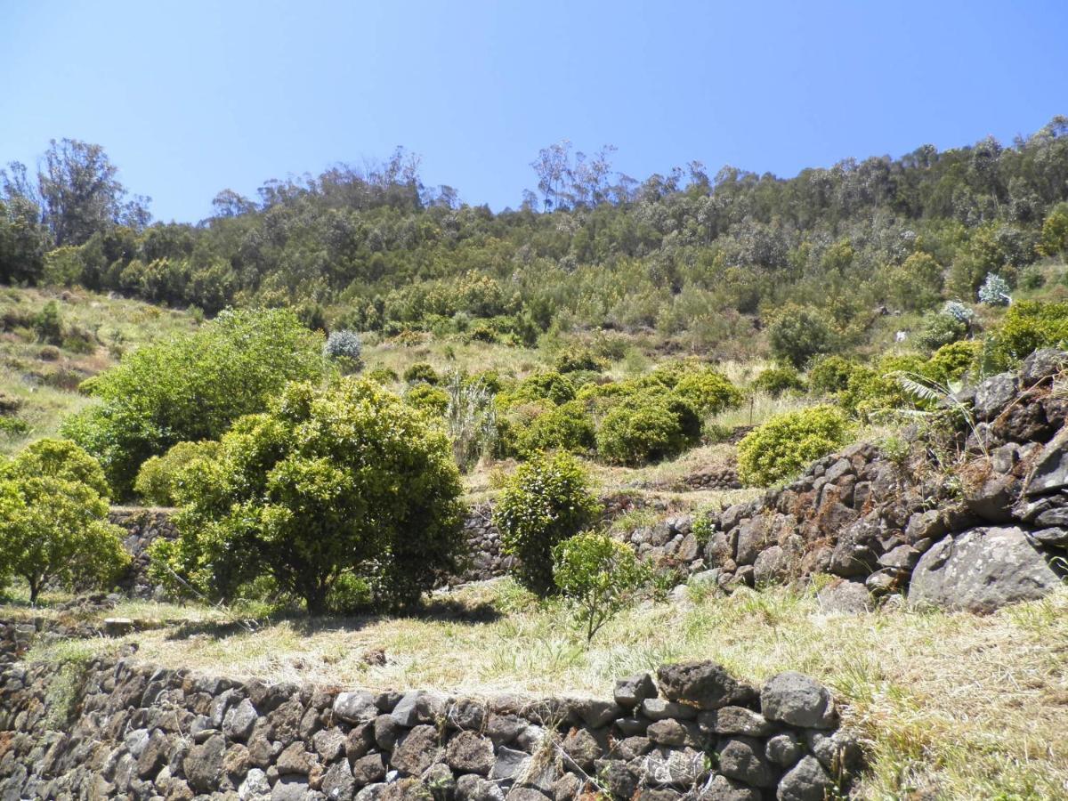 Luz - Family House Vacations- Large Private Outdoor Area * Santa Cruz (Madeira)