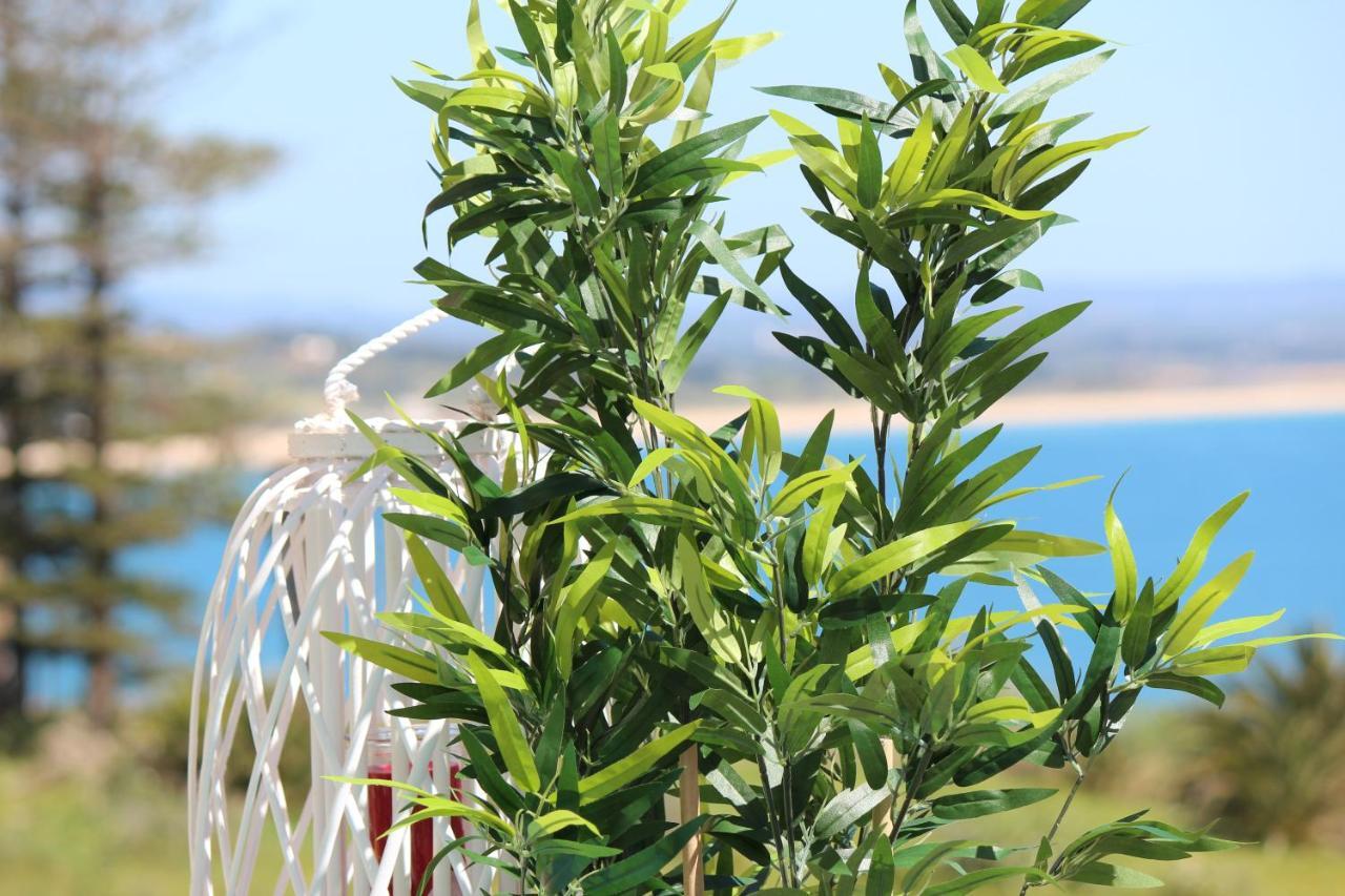 Wow Flat 200m Beach, 10min Downtown, Terrace With Sea View *