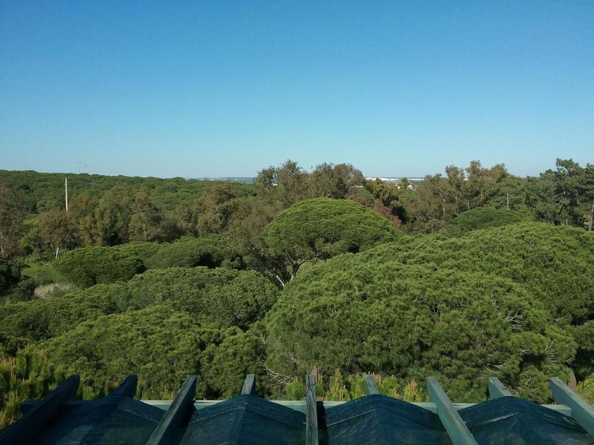 Villa Vila Verde