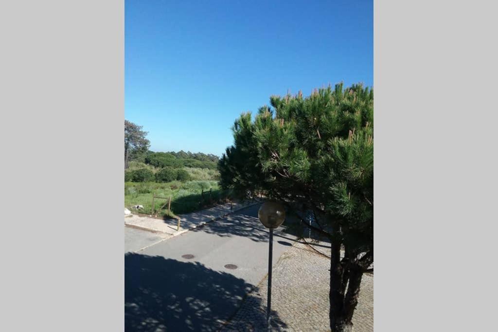 Vila Verde
